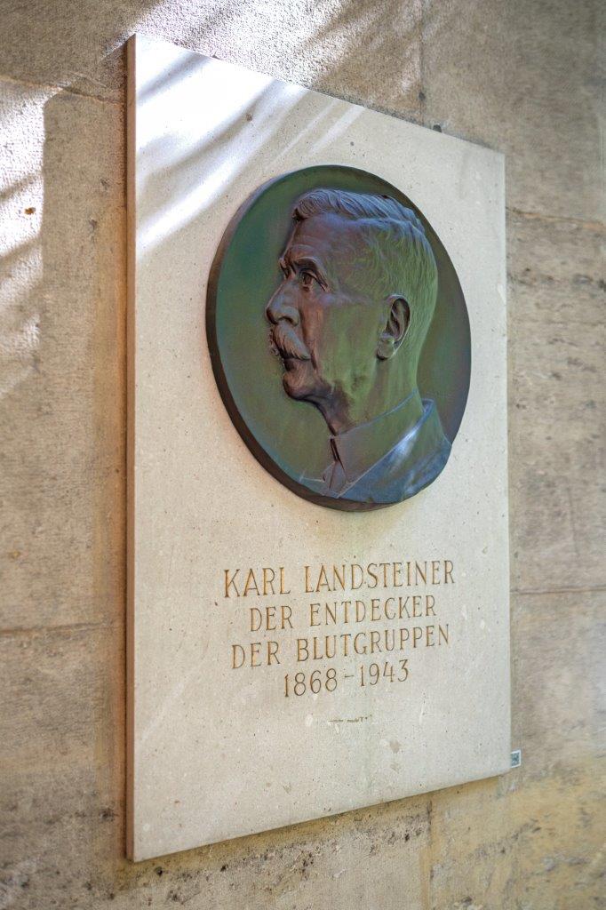 Büste Landsteiner