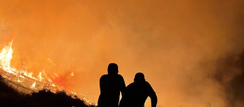 Buschfeuer