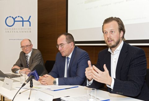 Harald Mayer, Karlheinz Kornhäusl