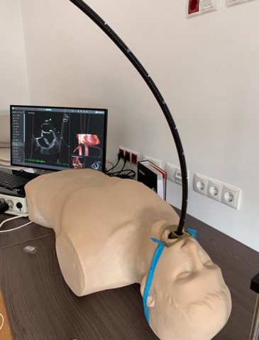 Ultraschallsimulator