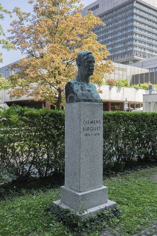 Denkmal AKH Pirquet