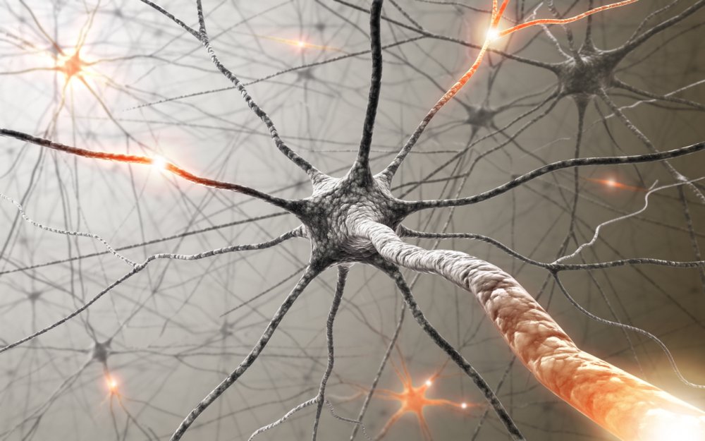 Neuron 